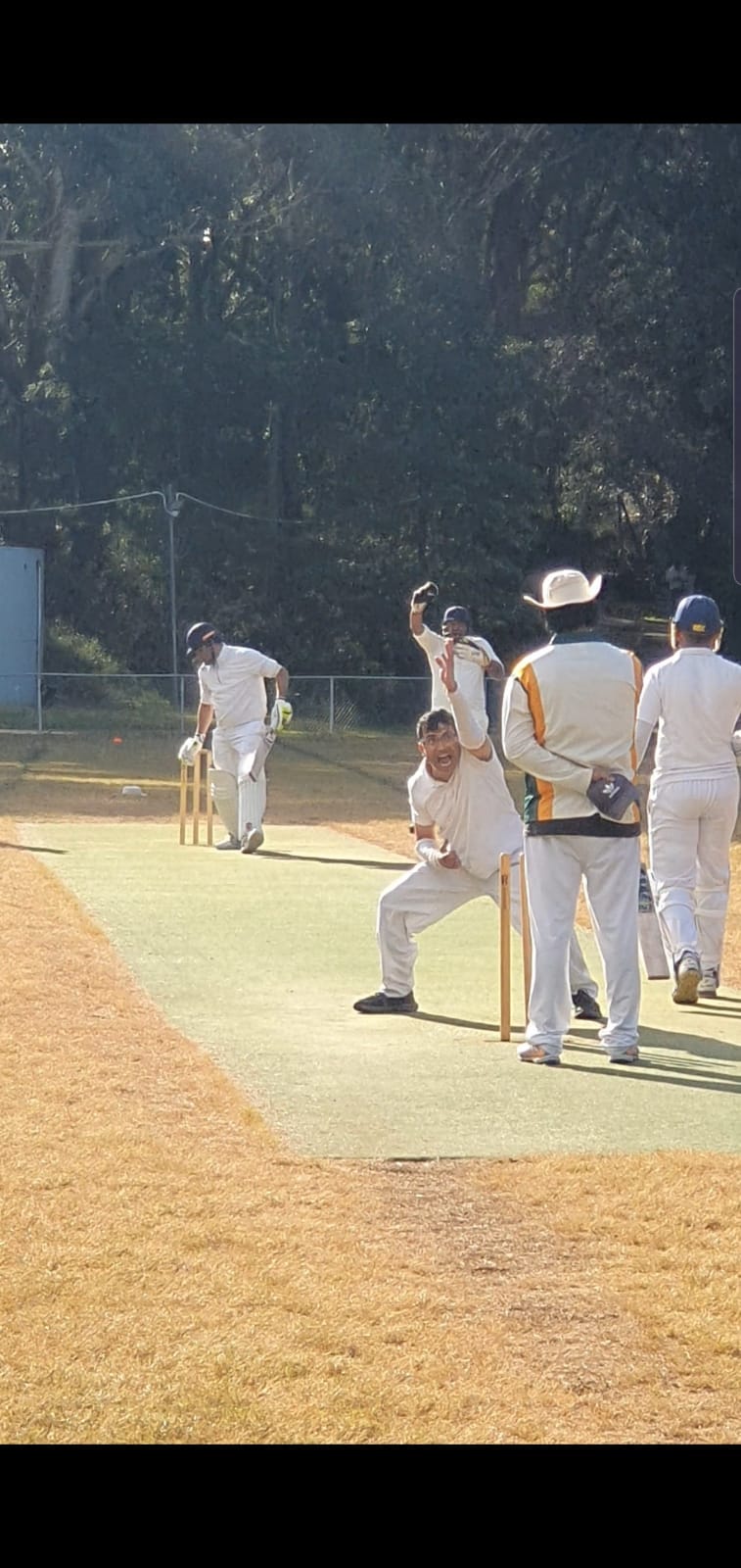 A Tigers bowler appealing for a wicket